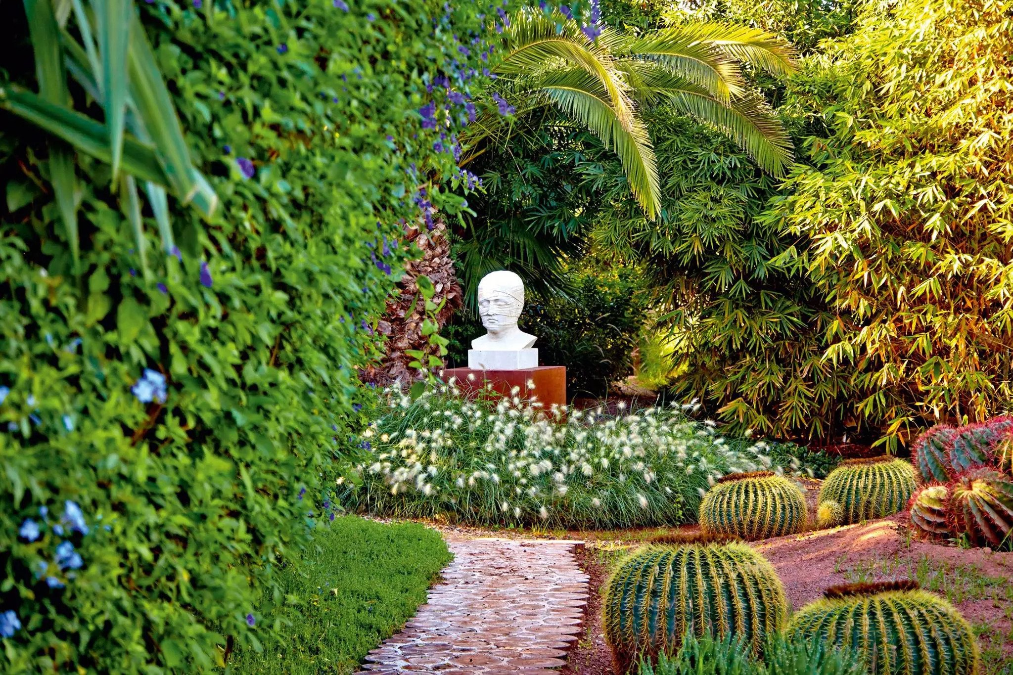 Anima Garden - Case Study