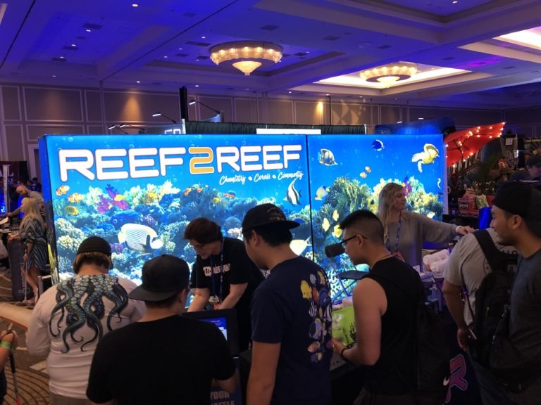 Reef-A-Palooza - Presenter Spotlight